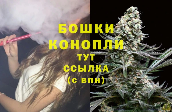 стаф Краснослободск