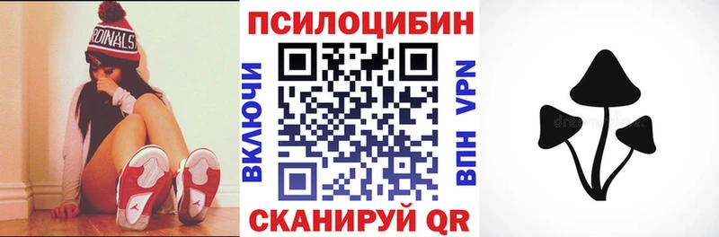 Псилоцибиновые грибы Cubensis  где купить наркоту  Кисловодск 